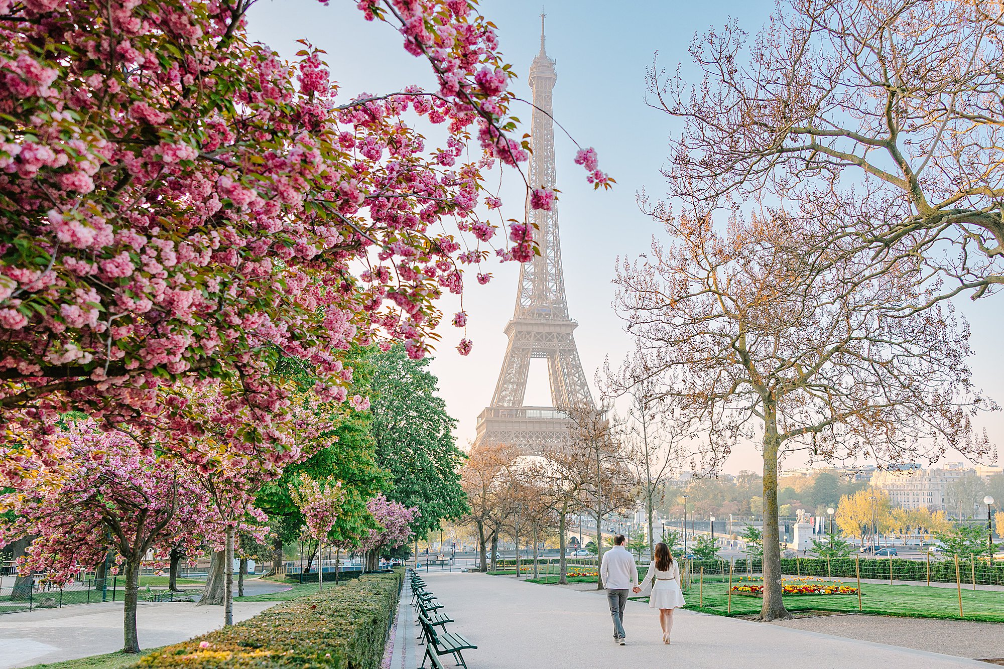Couple walking through cherry blossoms in Paris with Eiffel Tower in the background during a spring photoshoot